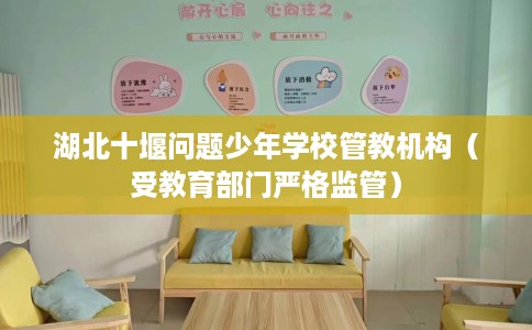 湖北十堰问题少年学校管教机构（受教育部门严格监管）