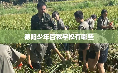 德阳少年管教学校有哪些