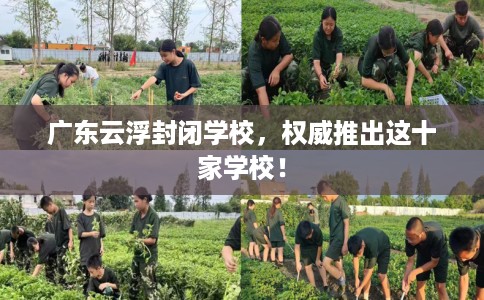 广东云浮封闭学校，权威推出这十家学校！