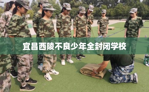 宜昌西陵不良少年全封闭学校