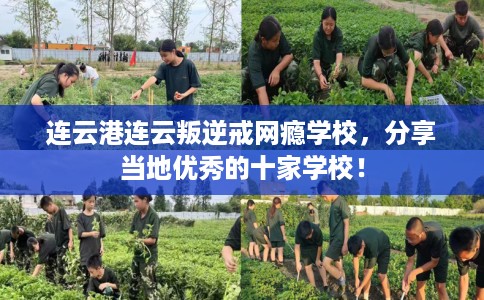 连云港连云叛逆戒网瘾学校，分享当地优秀的十家学校！