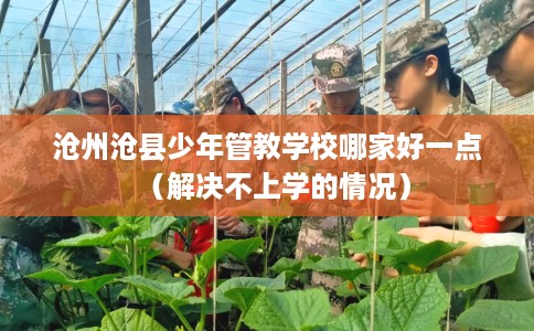 沧州沧县少年管教学校哪家好一点（解决不上学的情况）