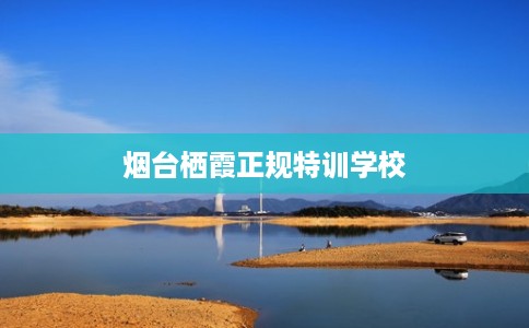 烟台栖霞正规特训学校