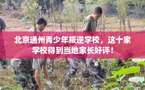 北京通州青少年叛逆学校，这十家学校得到当地家长好评！