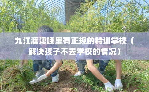 九江濂溪哪里有正规的特训学校（解决孩子不去学校的情况）