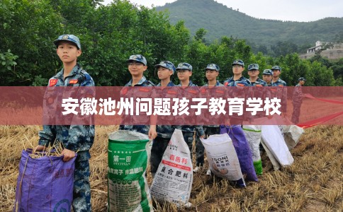 安徽池州问题孩子教育学校