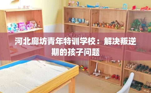 河北廊坊青年特训学校：解决叛逆期的孩子问题