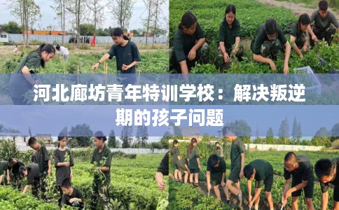 河北廊坊青年特训学校：解决叛逆期的孩子问题