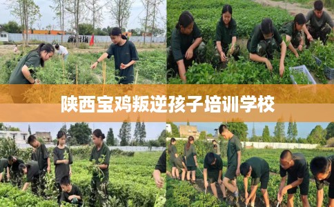 陕西宝鸡叛逆孩子培训学校