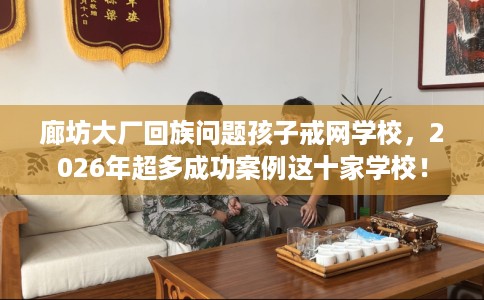 廊坊大厂回族问题孩子戒网学校，2026年超多成功案例这十家学校！