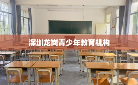 深圳龙岗青少年教育机构