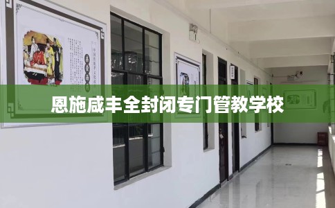 恩施咸丰全封闭专门管教学校