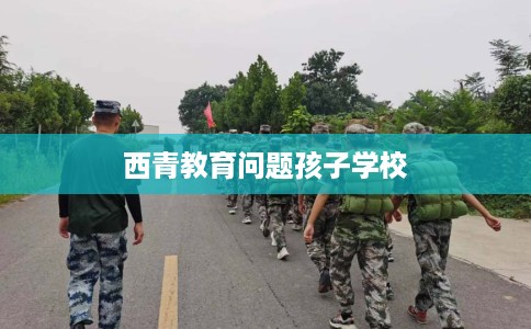 西青教育问题孩子学校