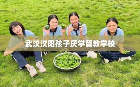 武汉汉阳孩子厌学管教学校