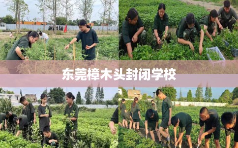 东莞樟木头封闭学校