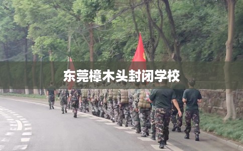 东莞樟木头封闭学校