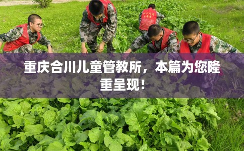 重庆合川儿童管教所，本篇为您隆重呈现！