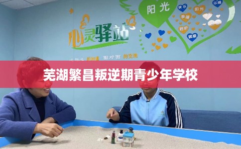 芜湖繁昌叛逆期青少年学校