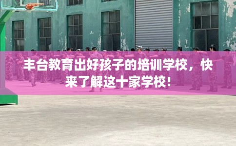 丰台教育出好孩子的培训学校，快来了解这十家学校!