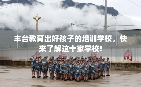 丰台教育出好孩子的培训学校，快来了解这十家学校!