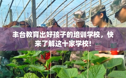 丰台教育出好孩子的培训学校，快来了解这十家学校!