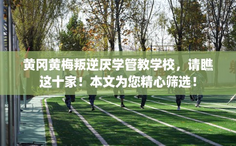 黄冈黄梅叛逆厌学管教学校，请瞧这十家！本文为您精心筛选！