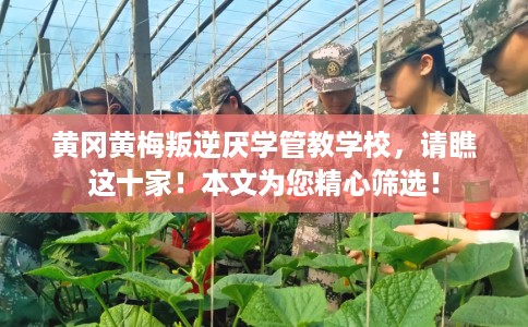 黄冈黄梅叛逆厌学管教学校，请瞧这十家！本文为您精心筛选！