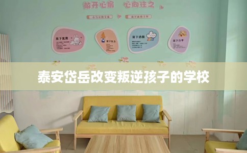 泰安岱岳改变叛逆孩子的学校