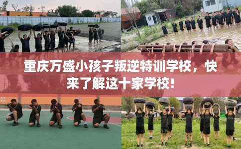 重庆万盛小孩子叛逆特训学校，快来了解这十家学校!