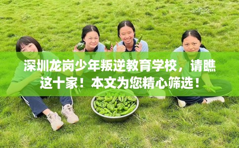 深圳龙岗少年叛逆教育学校，请瞧这十家！本文为您精心筛选！