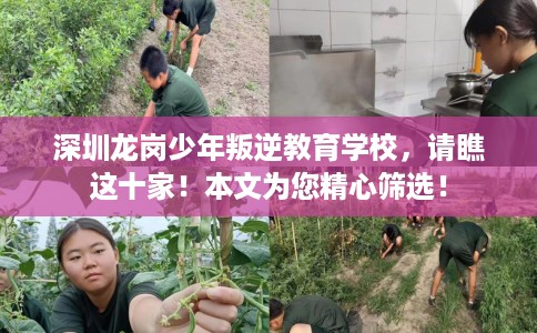 深圳龙岗少年叛逆教育学校，请瞧这十家！本文为您精心筛选！