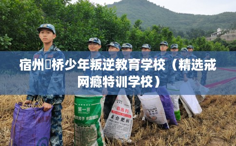 宿州埇桥少年叛逆教育学校（精选戒网瘾特训学校）