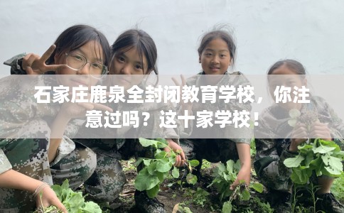 石家庄鹿泉全封闭教育学校，你注意过吗？这十家学校！