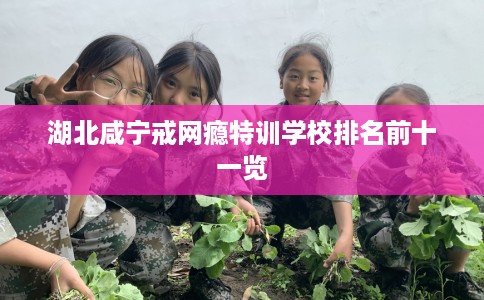 湖北咸宁戒网瘾特训学校排名前十一览