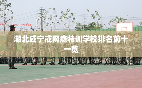 湖北咸宁戒网瘾特训学校排名前十一览