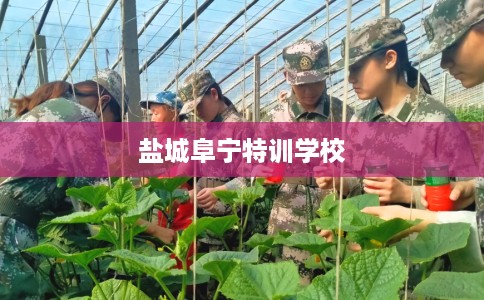 盐城阜宁特训学校