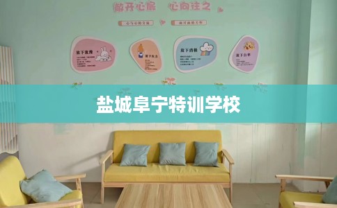 盐城阜宁特训学校