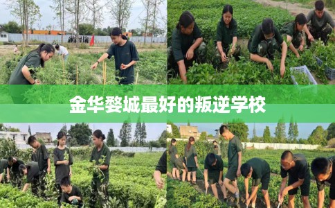 金华婺城最好的叛逆学校