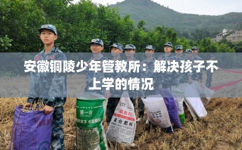 安徽铜陵少年管教所：解决孩子不上学的情况