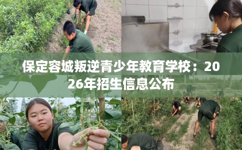 保定容城叛逆青少年教育学校：2026年招生信息公布