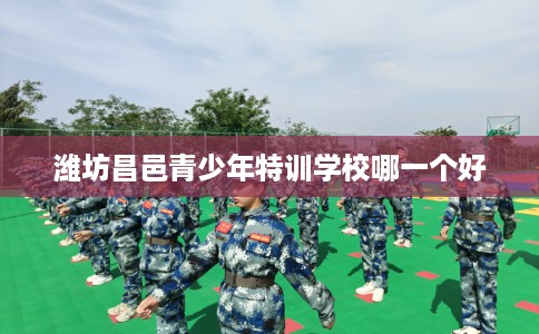 潍坊昌邑青少年特训学校哪一个好