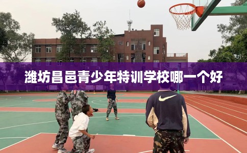 潍坊昌邑青少年特训学校哪一个好