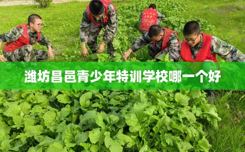 潍坊昌邑青少年特训学校哪一个好