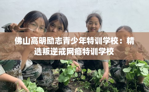 佛山高明励志青少年特训学校：精选叛逆戒网瘾特训学校