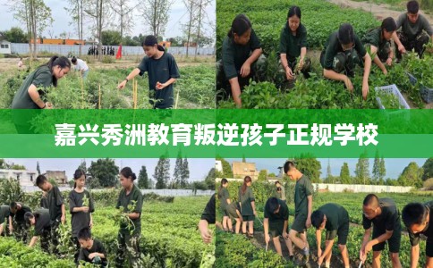 嘉兴秀洲教育叛逆孩子正规学校