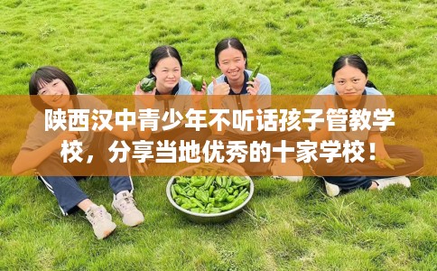 陕西汉中青少年不听话孩子管教学校，分享当地优秀的十家学校！