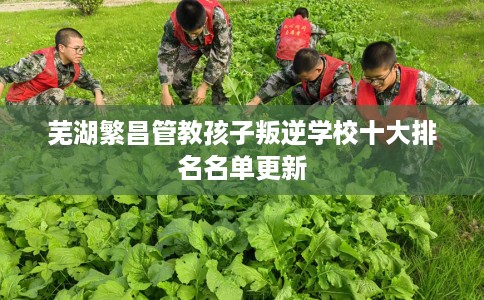 芜湖繁昌管教孩子叛逆学校十大排名名单更新