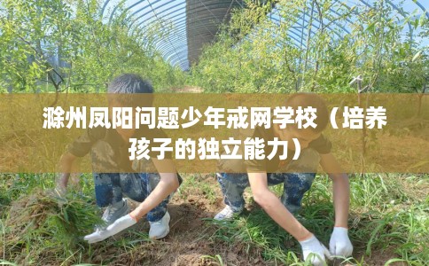 滁州凤阳问题少年戒网学校（培养孩子的独立能力）