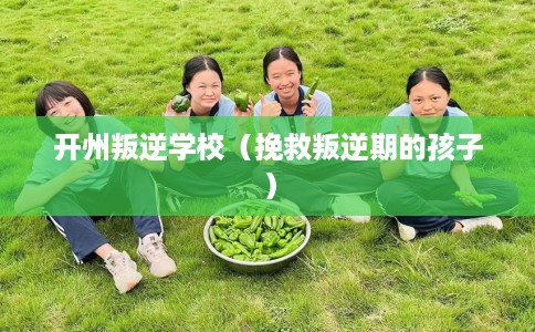 开州叛逆学校（挽救叛逆期的孩子）