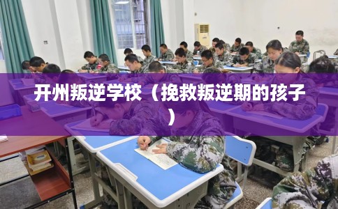 开州叛逆学校（挽救叛逆期的孩子）